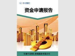 兰州专业的项目建议书撰写公司及甘肃信息咨询服务推荐